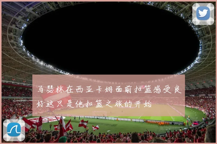 马瑟林在西亚卡姆面前扣篮感受良好这只是他扣篮之旅的开始