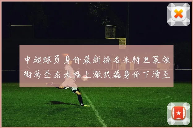 中超球员身价最新排名米特里策领衔蒋圣龙大幅上涨武磊身价下滑至50万